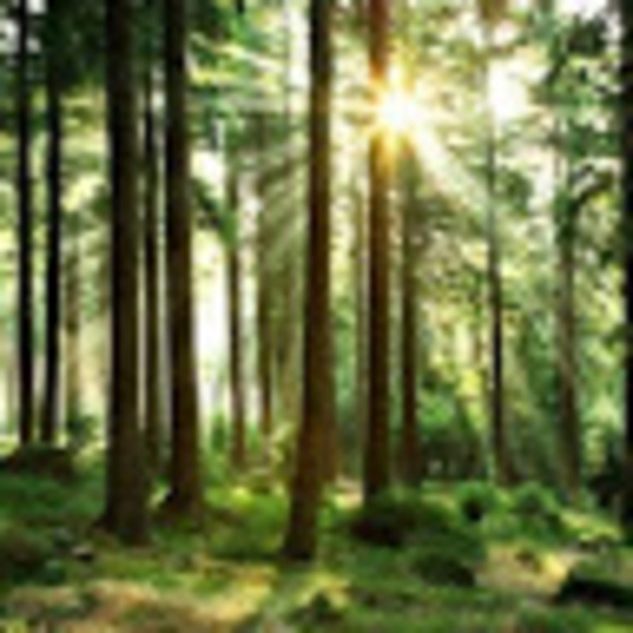 Meet your Posher, Amber - Picture 1 of 1